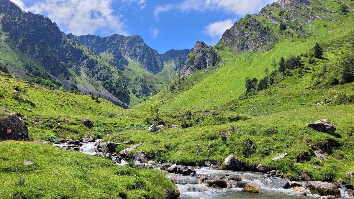 Le torrent du vallon d'Ilhéou entre des pelouses vertes et des sommets découpés, en juillet